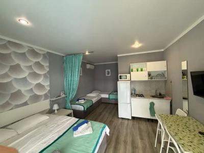 LooRoom Guest House studio - 19