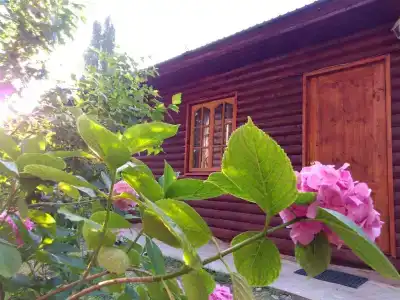 Магнолия - 3