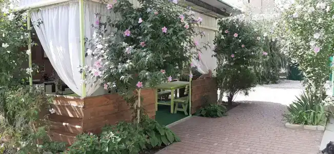 Фемили - 3