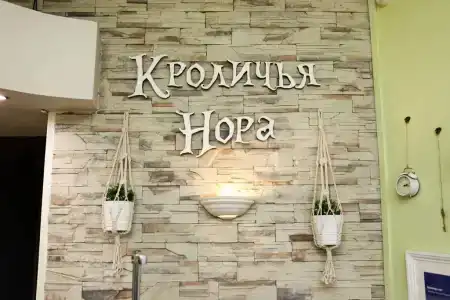 Кроличья нора - 2