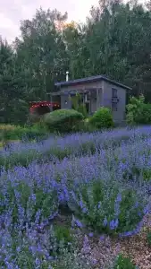 Дом у реки Волма - 1