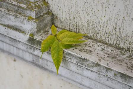 Старый Город - 4