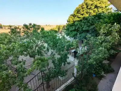 Маргарита - 9