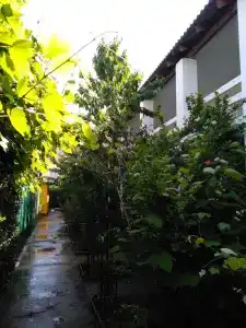 Солнечный - 20