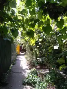 Солнечный - 21