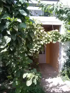 Солнечный - 22