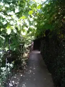 Солнечный - 23