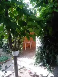 Солнечный - 24