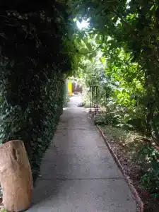 Солнечный - 25