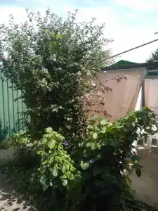 Солнечный - 28