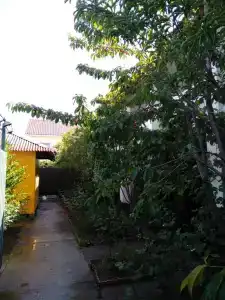 Солнечный - 27