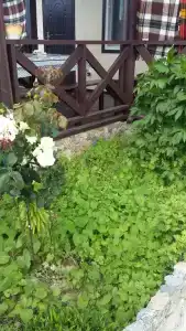 Лукоморье - 166