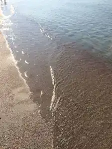 Лукоморье - 175