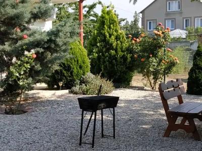 Лавандина - 44