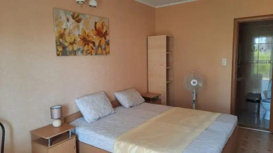 Лавандина - 40