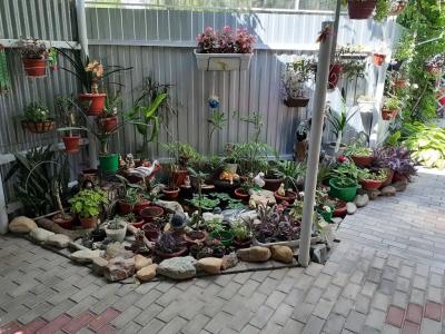 на Северной - 5