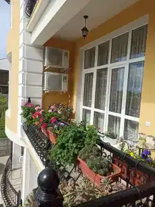 Анна-Мария - 1