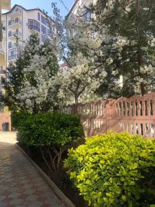 Южная дача - 15