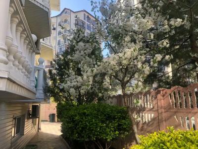 Южная дача - 16