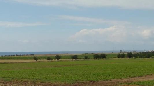 Лавандина - 61