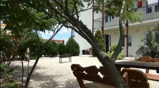 Лавандина - 67