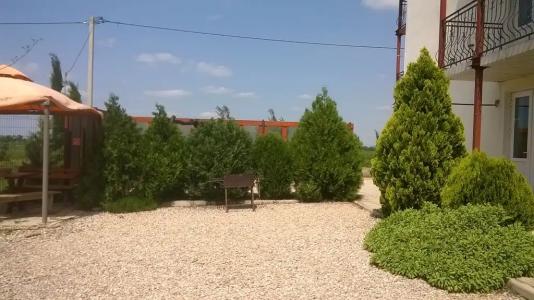 Лавандина - 66