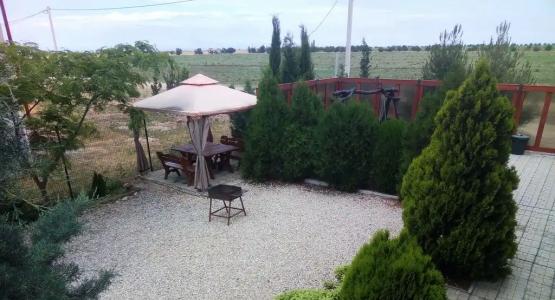 Лавандина - 65