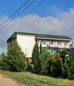 Лавандина - 62