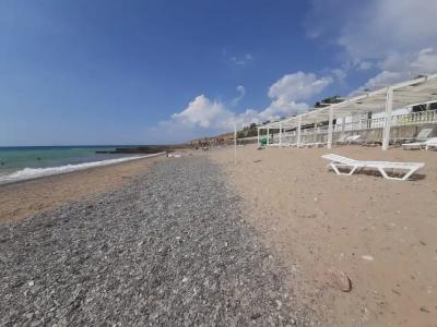 Лавандина - 70