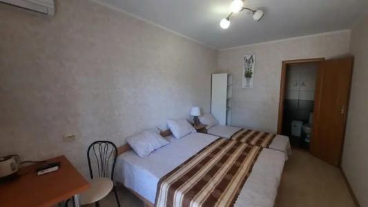 Лавандина - 55