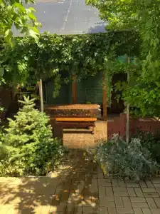 Уютный дворик на Пляжной 17А - 40