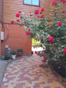 Гостевой дом Ирины - 41