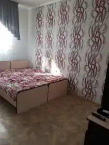 Элана - 1