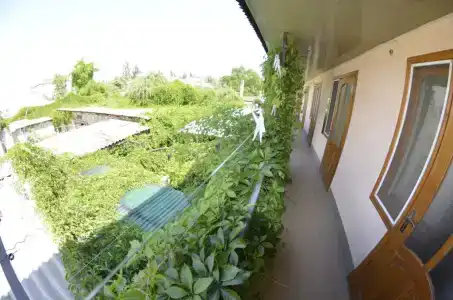 у Тещи - 2