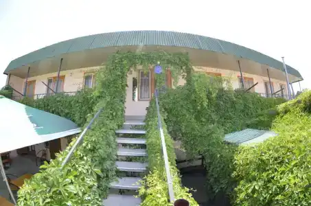 у Тещи - 4