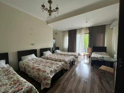 Four Seasons in Kutaisi - 4