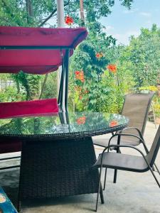 Four Seasons in Kutaisi - 16