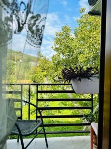 Four Seasons in Kutaisi - 15