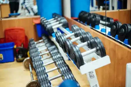 Бристоль - 28