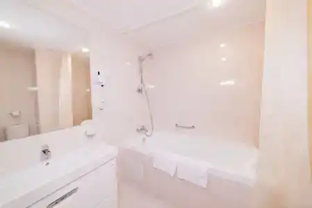 Бристоль - 30