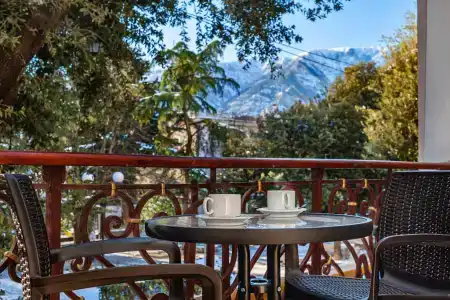 Бристоль - 34