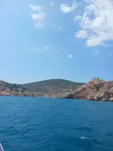 Оливия - 3