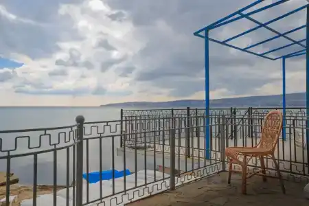 Виола и Севилы - 24