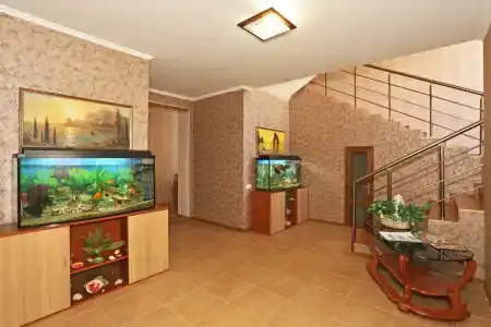 Мечта - 6