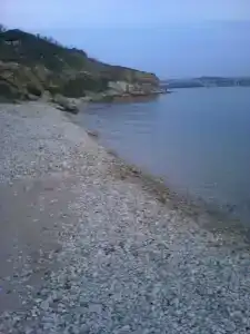 У Олюшки - 26