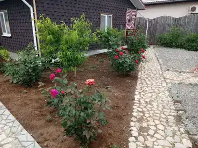 Лукоморье - 27