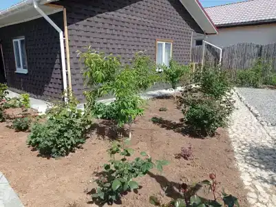 Лукоморье - 26