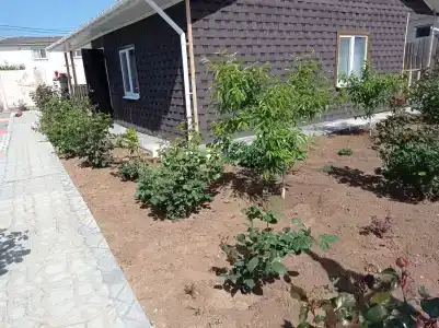 Лукоморье - 29