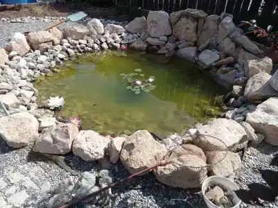 Лукоморье - 22