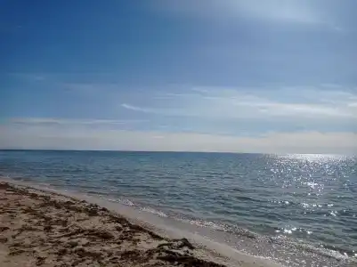 Лукоморье - 44